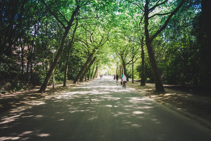 parkentrip