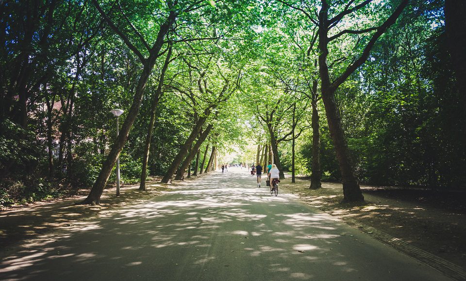 parkentrip